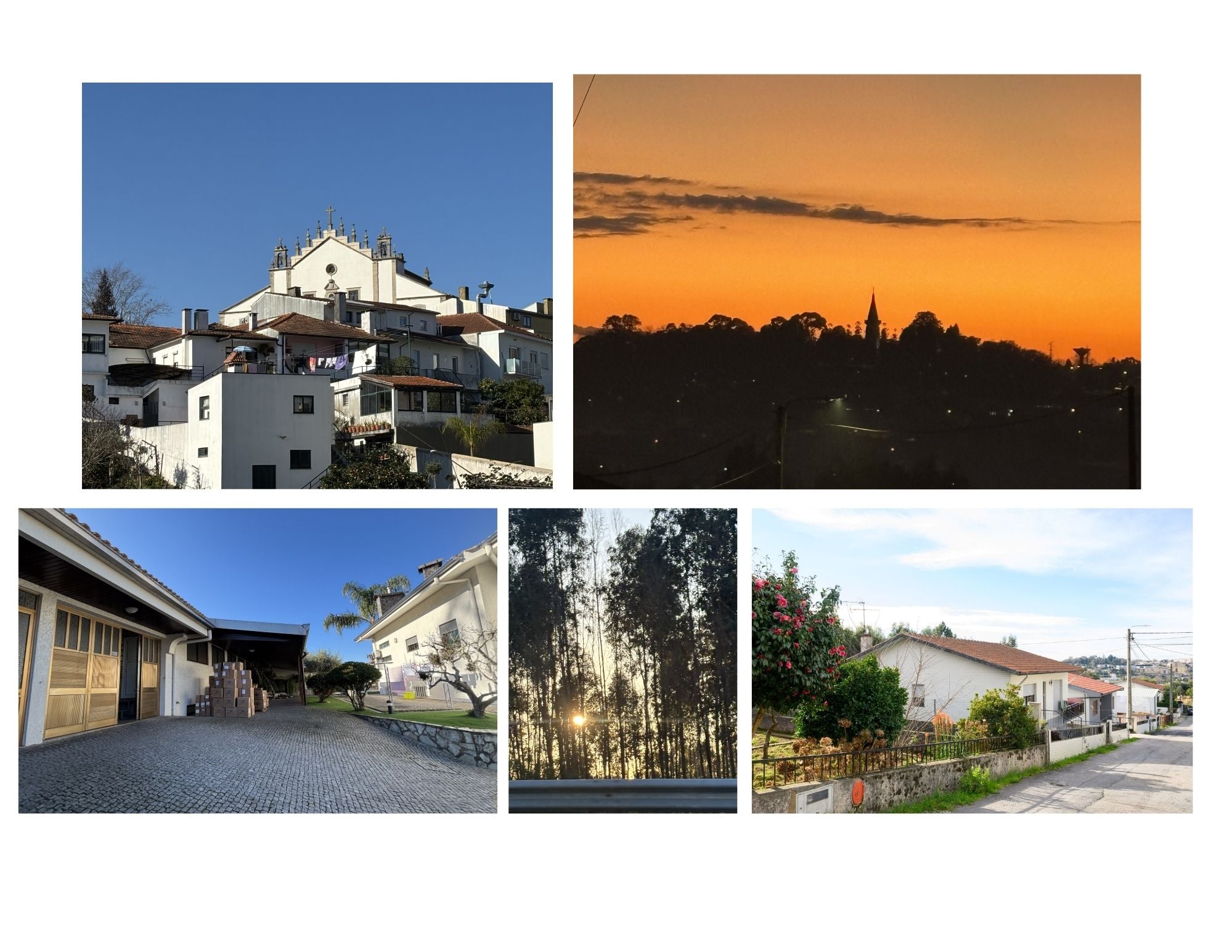 Collage of various images including a sunset, buildings, and trees outside Porto.